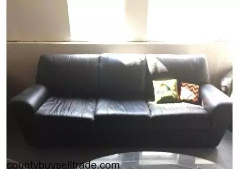 Black leather sleeper sofa